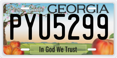 GA license plate PYU5299