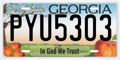 GA license plate PYU5303