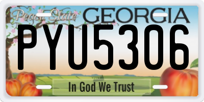 GA license plate PYU5306