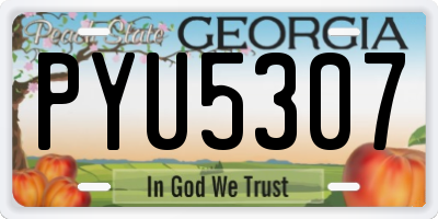 GA license plate PYU5307
