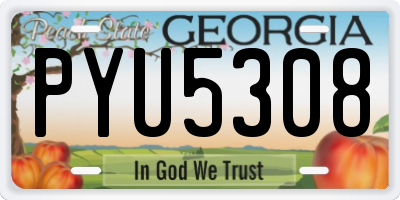 GA license plate PYU5308