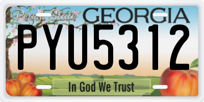GA license plate PYU5312