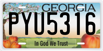 GA license plate PYU5316