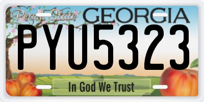 GA license plate PYU5323
