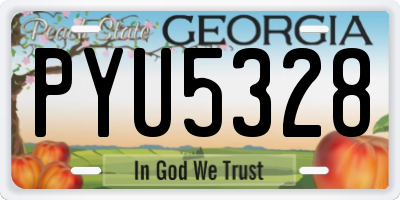 GA license plate PYU5328