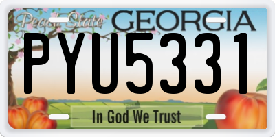 GA license plate PYU5331