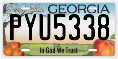 GA license plate PYU5338