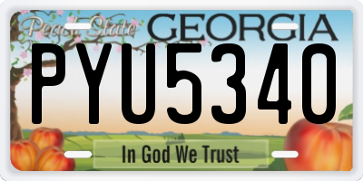 GA license plate PYU5340