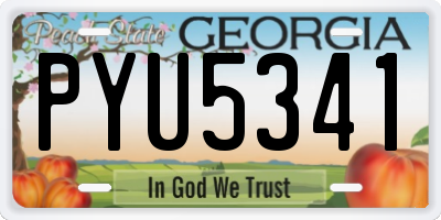 GA license plate PYU5341