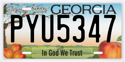 GA license plate PYU5347