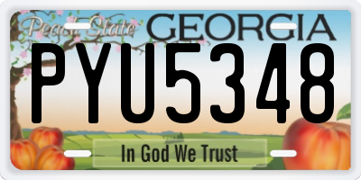 GA license plate PYU5348