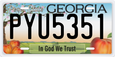 GA license plate PYU5351