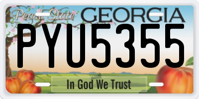 GA license plate PYU5355