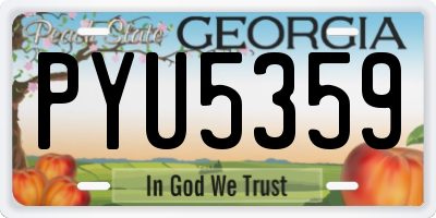 GA license plate PYU5359