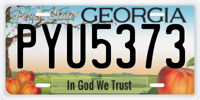 GA license plate PYU5373