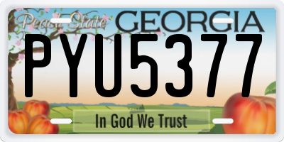 GA license plate PYU5377