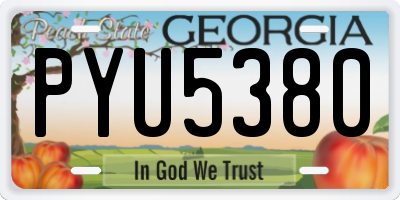 GA license plate PYU5380