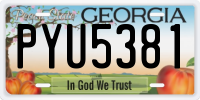 GA license plate PYU5381