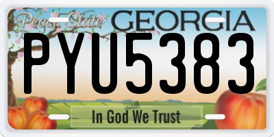 GA license plate PYU5383