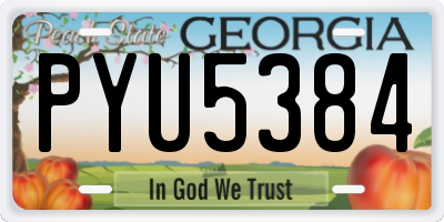 GA license plate PYU5384
