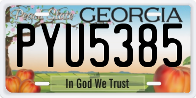 GA license plate PYU5385