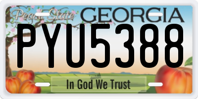 GA license plate PYU5388