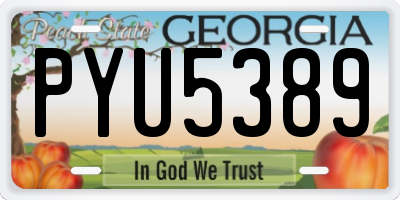 GA license plate PYU5389