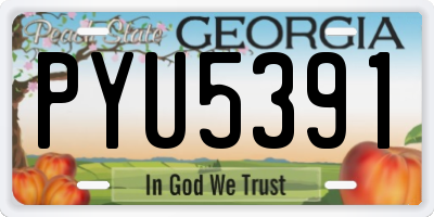 GA license plate PYU5391
