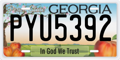 GA license plate PYU5392