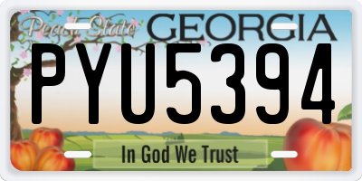 GA license plate PYU5394