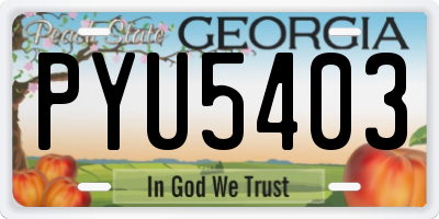 GA license plate PYU5403