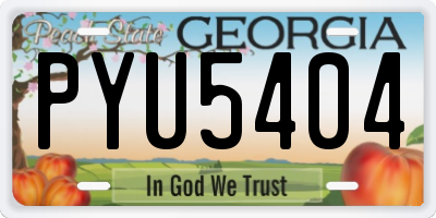 GA license plate PYU5404