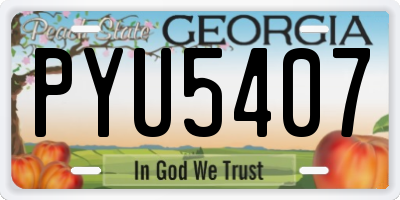 GA license plate PYU5407