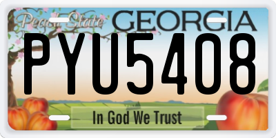 GA license plate PYU5408