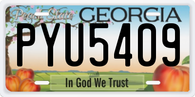 GA license plate PYU5409