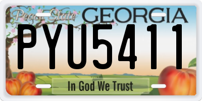 GA license plate PYU5411
