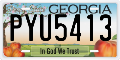 GA license plate PYU5413