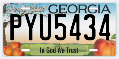 GA license plate PYU5434