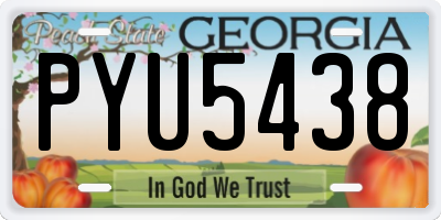 GA license plate PYU5438