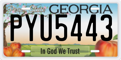 GA license plate PYU5443