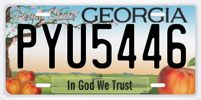 GA license plate PYU5446