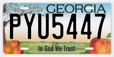 GA license plate PYU5447