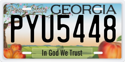 GA license plate PYU5448