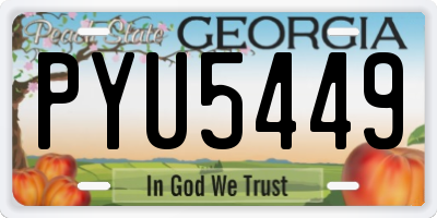 GA license plate PYU5449