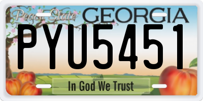 GA license plate PYU5451