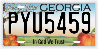 GA license plate PYU5459