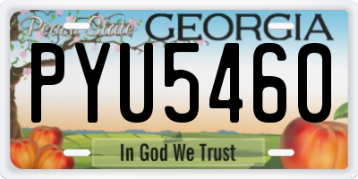 GA license plate PYU5460