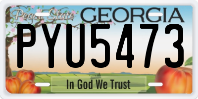 GA license plate PYU5473