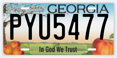 GA license plate PYU5477