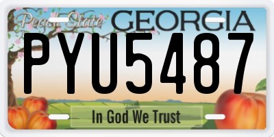 GA license plate PYU5487